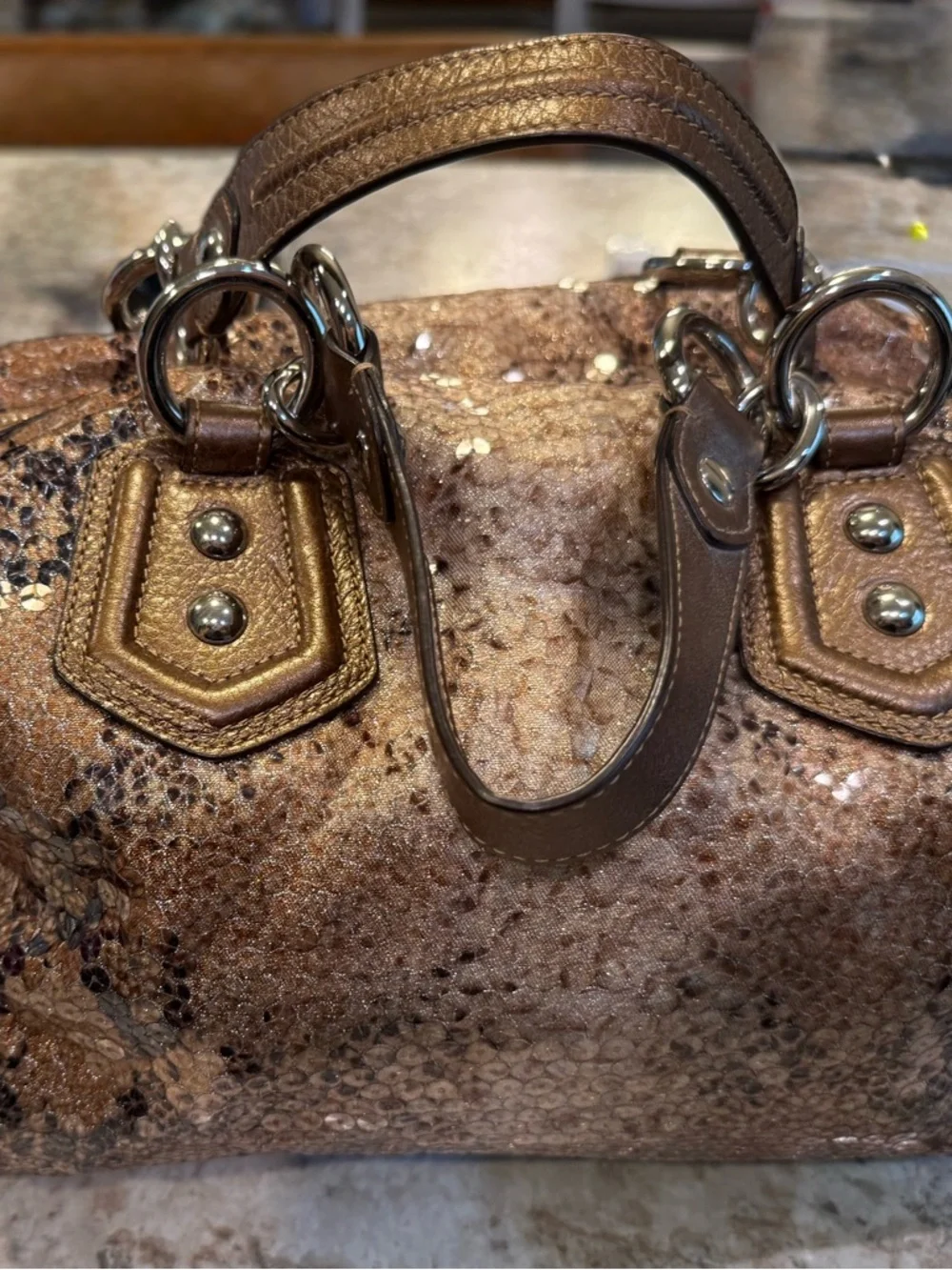 Coach Bronze Sequin Satchel